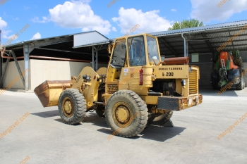 Homlokrakodó - Fadroma